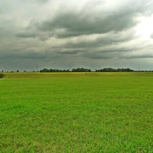 Titan Lightweight Packable Daypack